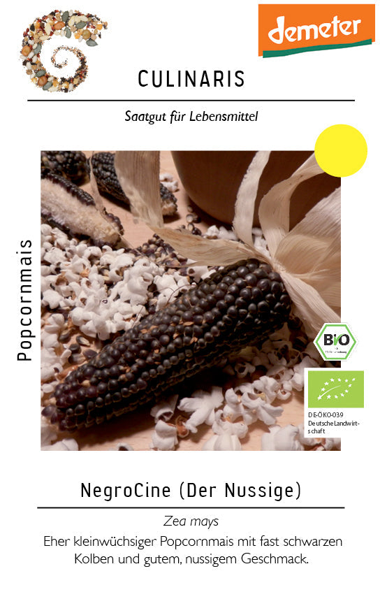 Popcornmais NegroCine