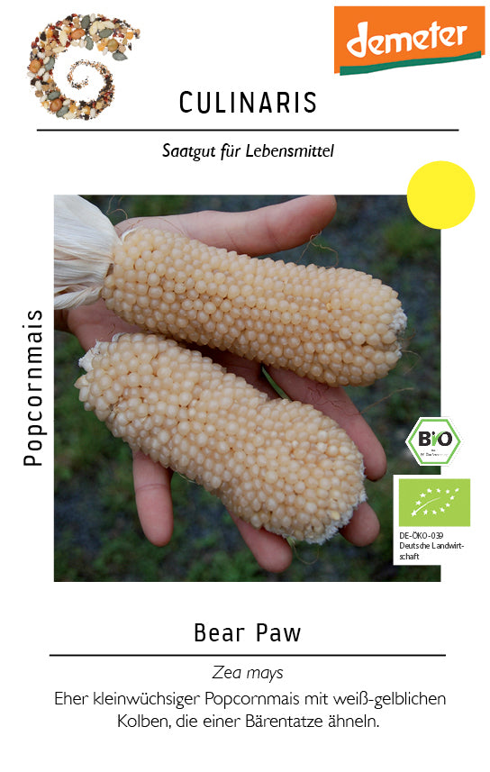 Popcornmais Bear Paw