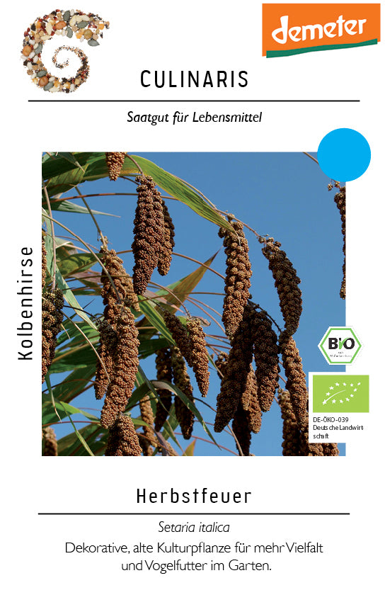 Kolbenhirse Herbstfeuer