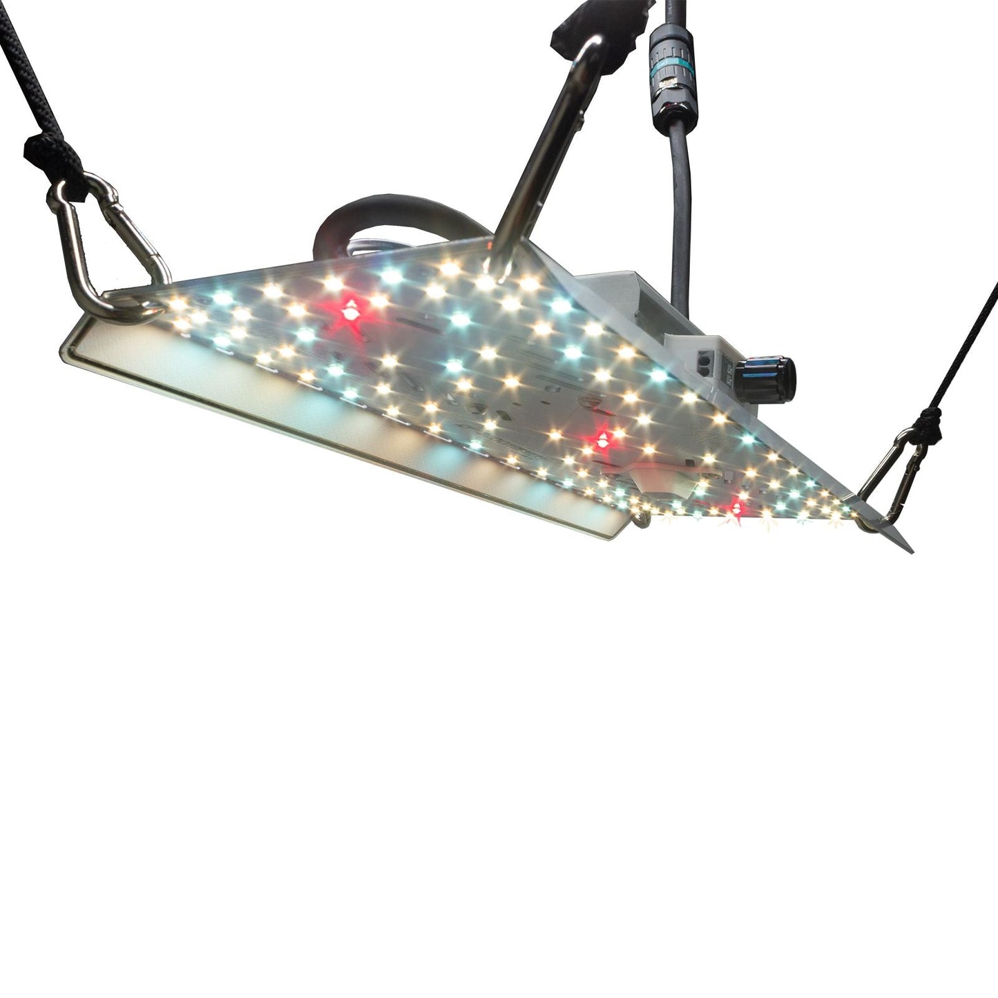 BloomStar FLUXshield Habibi 150 - 50W Vollspektrum
