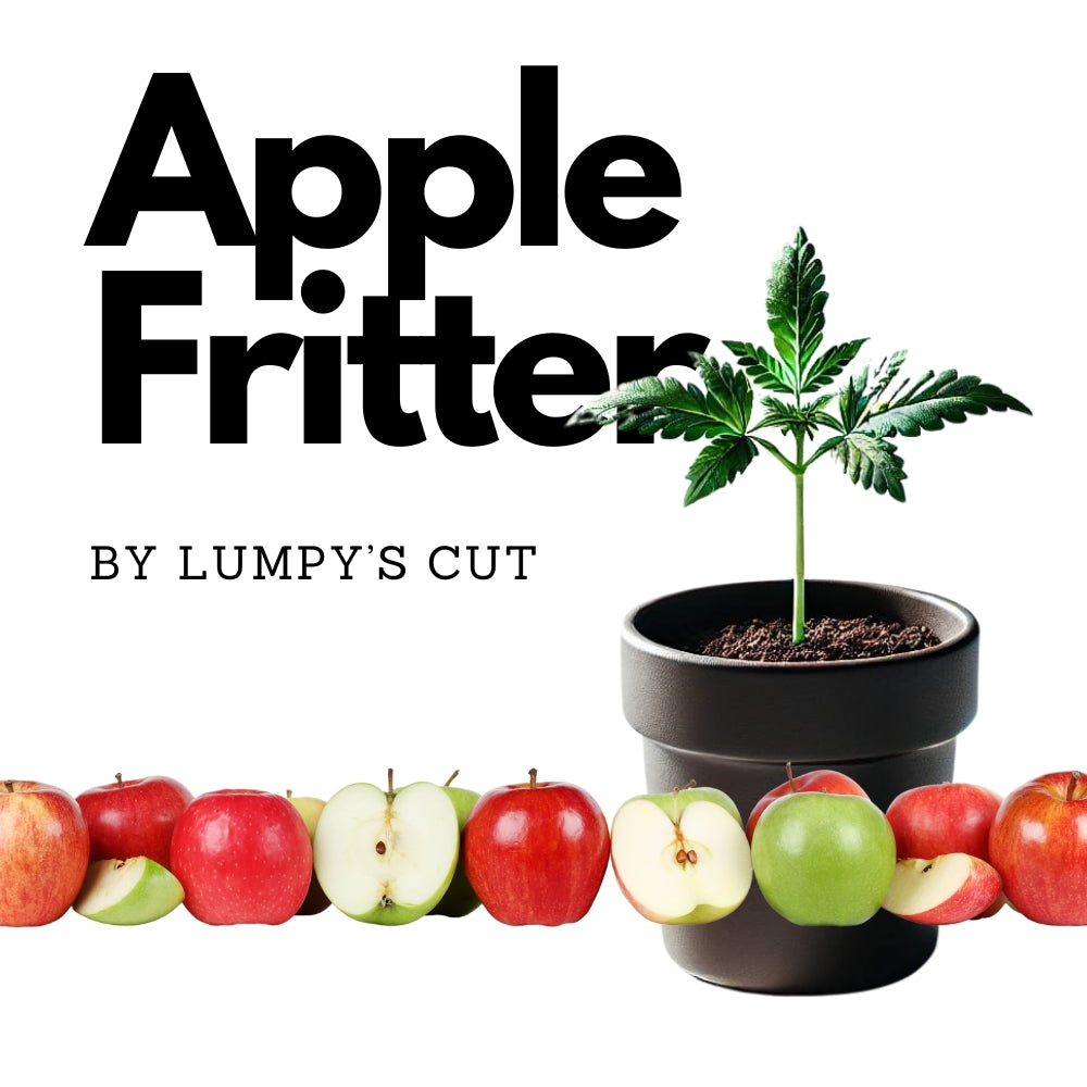 Apple Fritter - Original Lumpy's Cut Steckling