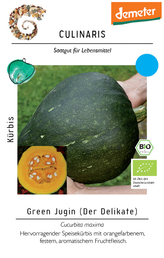 Kürbis Green Jugin