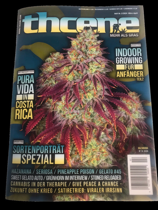 THCENE Magazin